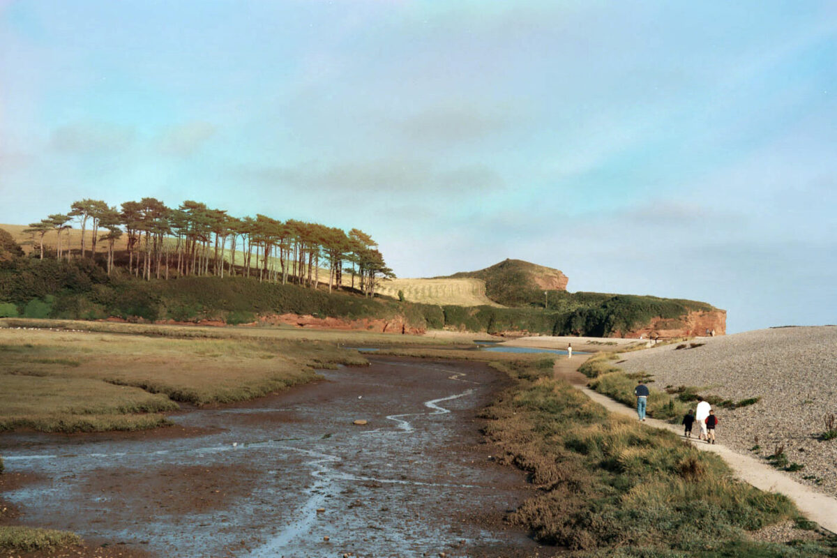 River Otter Devon
