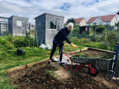 Allotment pic
